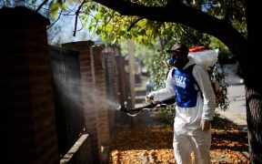 Argentina registra el brote de dengue más letal de su historia